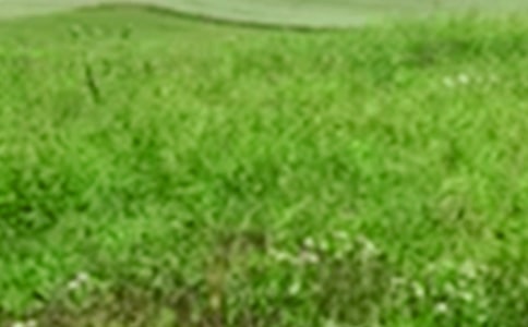 �ļ�����Ұ���ģ����A��