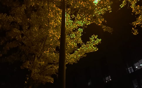 ���]Ψ�������İ�230��