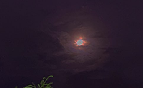 ����Ψ�������İ������x35�䣩