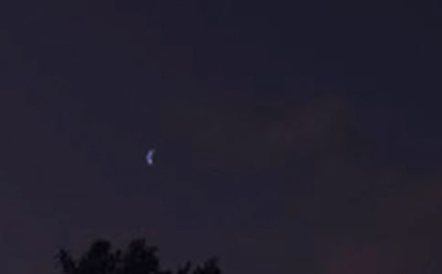 ���������������Z