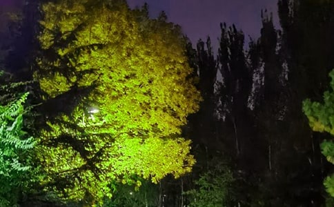 �P(gu��n)��������Ψ������