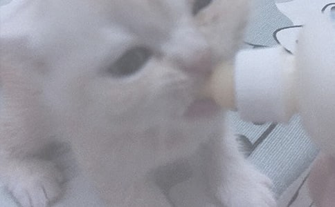 Ո(q��ng)��(w��n)���֋�����νo����ι��