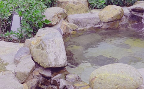 �ݜ�Ȫ��ע������