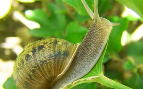 �i����΁ţ���i�Z