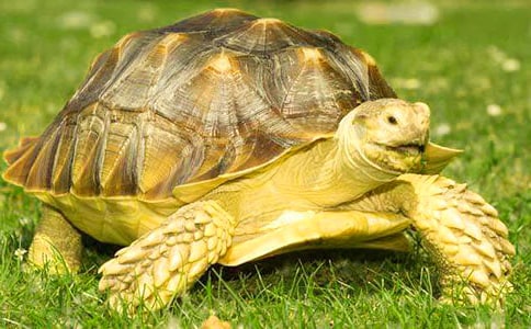 С�����^����ӛ