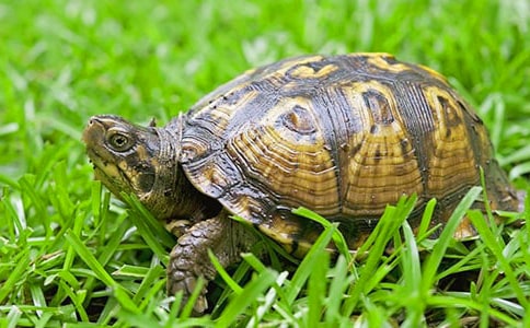 С�����^����ӛ(���x3ƪ)