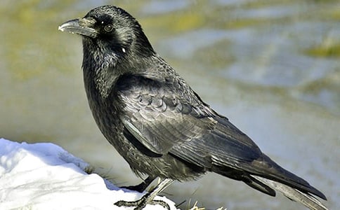 (���x)���f��������