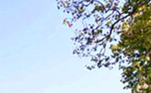 2024���ܰ���簲�����Z���źϼ�94��