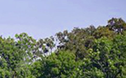 ��(j��ng)��Ψ���簲�İ�40�侫�x