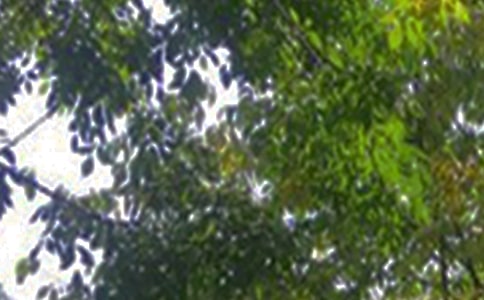 ��(j��ng)��ů���簲��(w��n)���Z(y��)50�侫�x