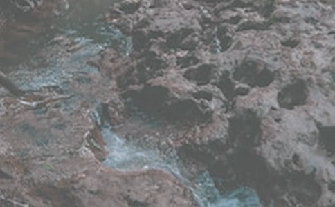 �x��СϪ���ĸ衷���