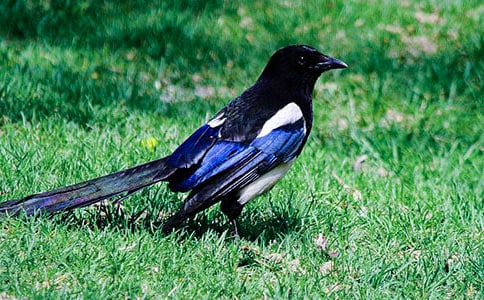 ����(sh��)��ϲ�o���̌W(xu��)��˼