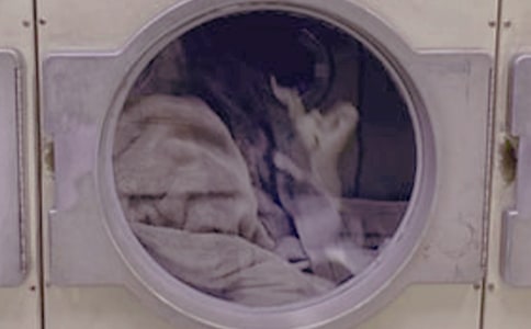 ϴ�·ۡ�ϴ��Һ��������ô��