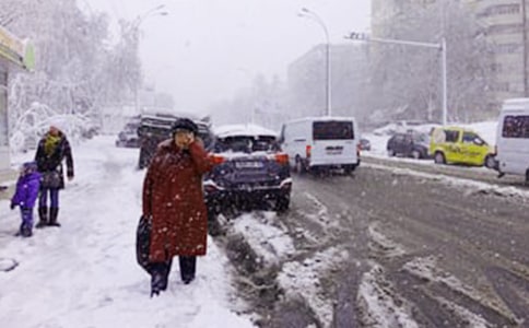 �P(gu��n)����ѩΨ���İ������x315�䣩