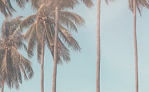 �ļ��(q��)�õ�С����