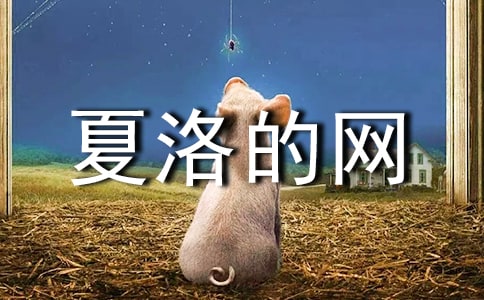 (��)����ľW(w��ng)�x��