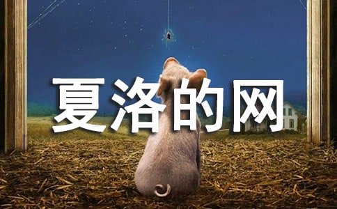 ����ľW(w��ng)