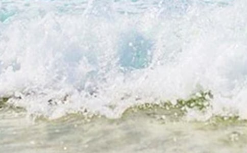 ����������~�Z