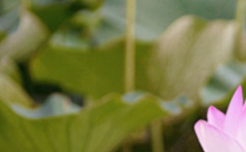 ��(ji��)��������Ԋ�����x24�ף�