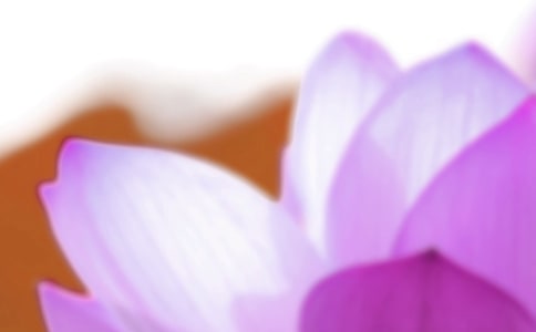 �P(gu��n)�ڹ�(ji��)���������V�Z�����x100�䣩