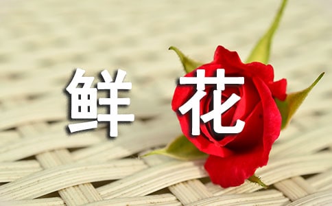 ����(y��u)���r���������n��˼
