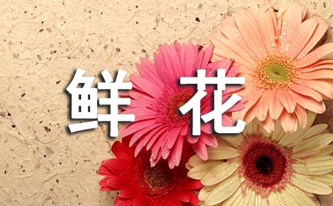 ���o(h��)�r����ʾ�Z(y��)