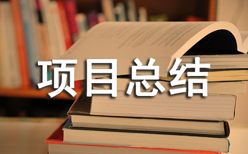 ��Ϣ���g(sh��)2.0�(xi��ng)Ŀ���Y(ji��)�����x10ƪ��