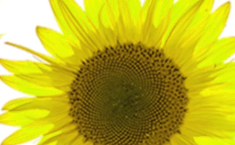 [����]���տ�����15ƪ