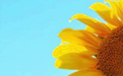 ���տ����ġ���(y��u)�x��