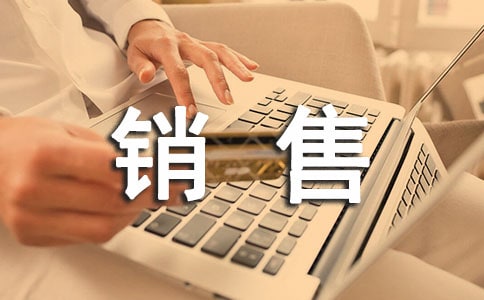有關(guān)銷售計(jì)劃模板十篇