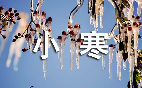 2022С������Ȧ�ĺþ��ӣ����x60�䣩