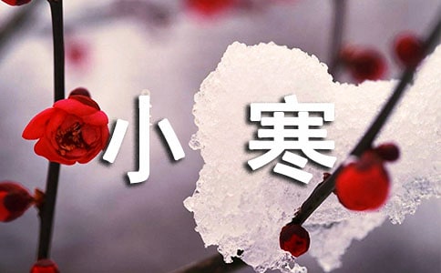 С��ע�Ᵽů�Ķ���Ϣ�İ�