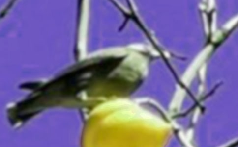 ���wС�B���D��Ԓ�R����15ƪ��