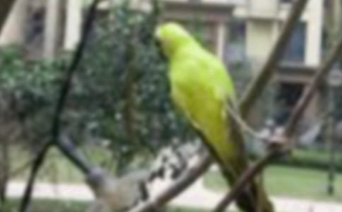 ����(y��u)���܂���С�B���D��Ԓ11ƪ