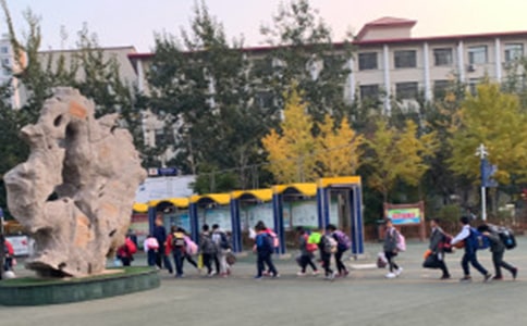 �����T(m��n)��С�W(xu��)��������ӛ