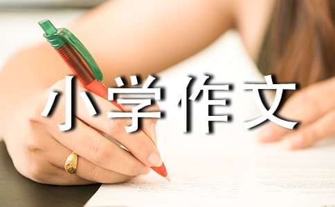 С�W(xu��)���Č��u(p��ng)�Z