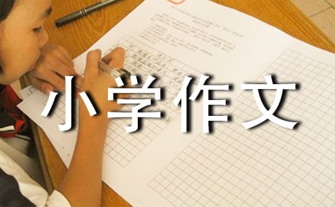 �ҿ����õ���ůС�W(xu��)����