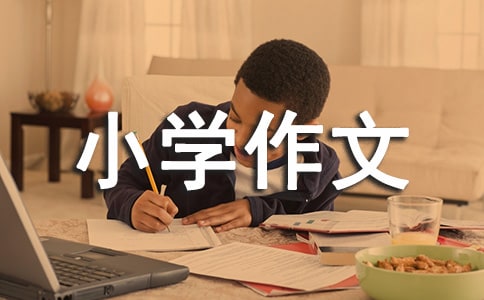 ������һ����С�W(xu��)����