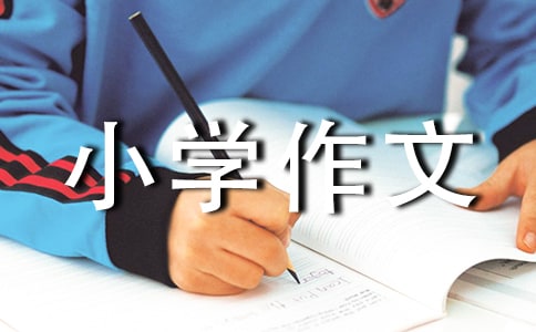 ���С�W(xu��)����