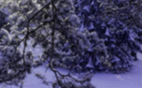 �P(gu��n)����Сѩ��(ji��)���Ψ���İ�210��