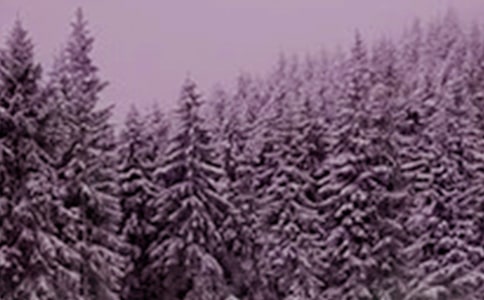 Сѩ��(ji��)�հl(f��)����Ȧ�İ�330��