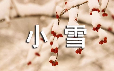 �P(gu��n)��Сѩ��(ji��)������}�İ�