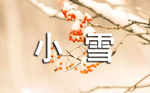 СѩΨ�������İ�