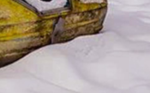��ѩ�ı����đ����A�������x22ƪ��