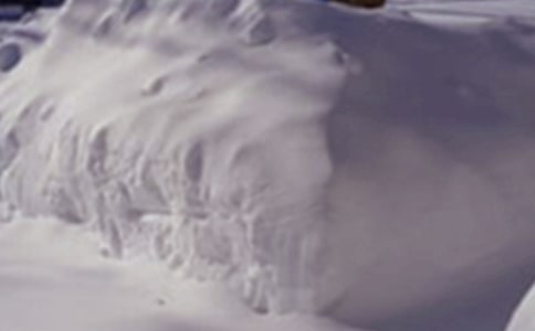 ������ѩ��(z��i)�����Y(ji��)