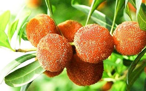 ժ��÷����15ƪ[��(y��u)��]