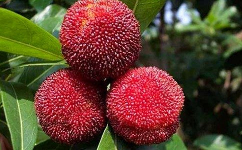 ժ��÷���ģ�ͨ��45ƪ��