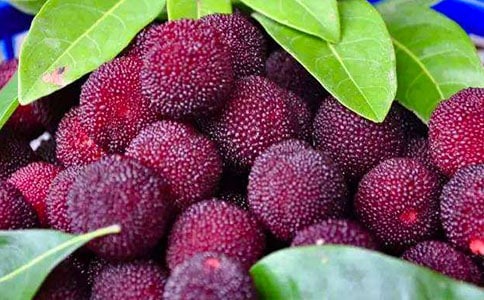 �ɗ�÷���ģ��؂�15ƪ��