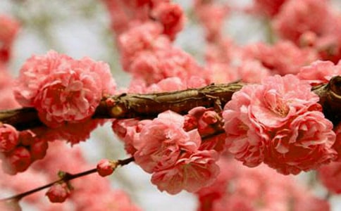 �茑(xi��)�ѻ����ă�(y��u)������