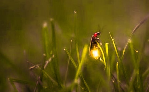 Ξ���x���������ġ���(j��ng)��3ƪ��